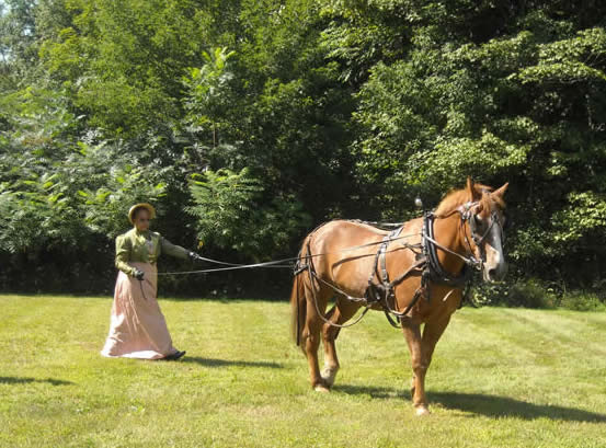 Women learning to drive a carriage with long lines at Jane Austen weekend