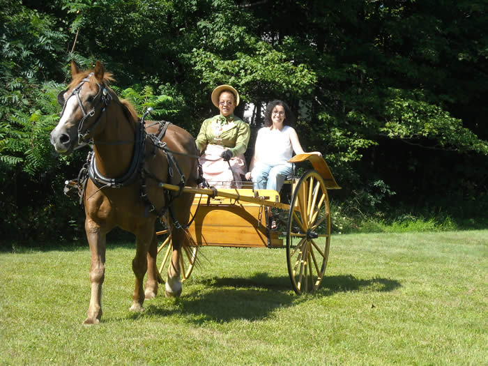Carriage driving practice at Jane Austen in character weekend